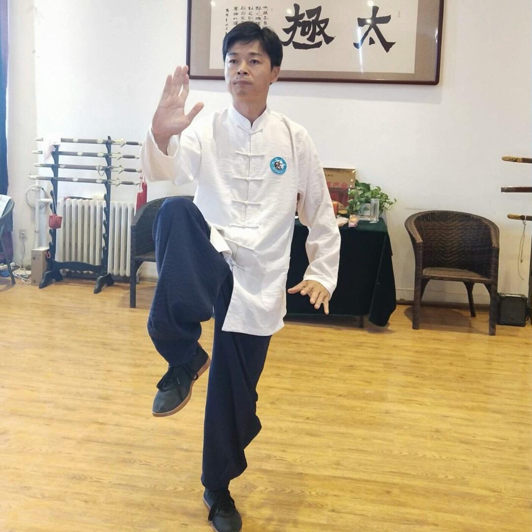 杨式太极拳术
