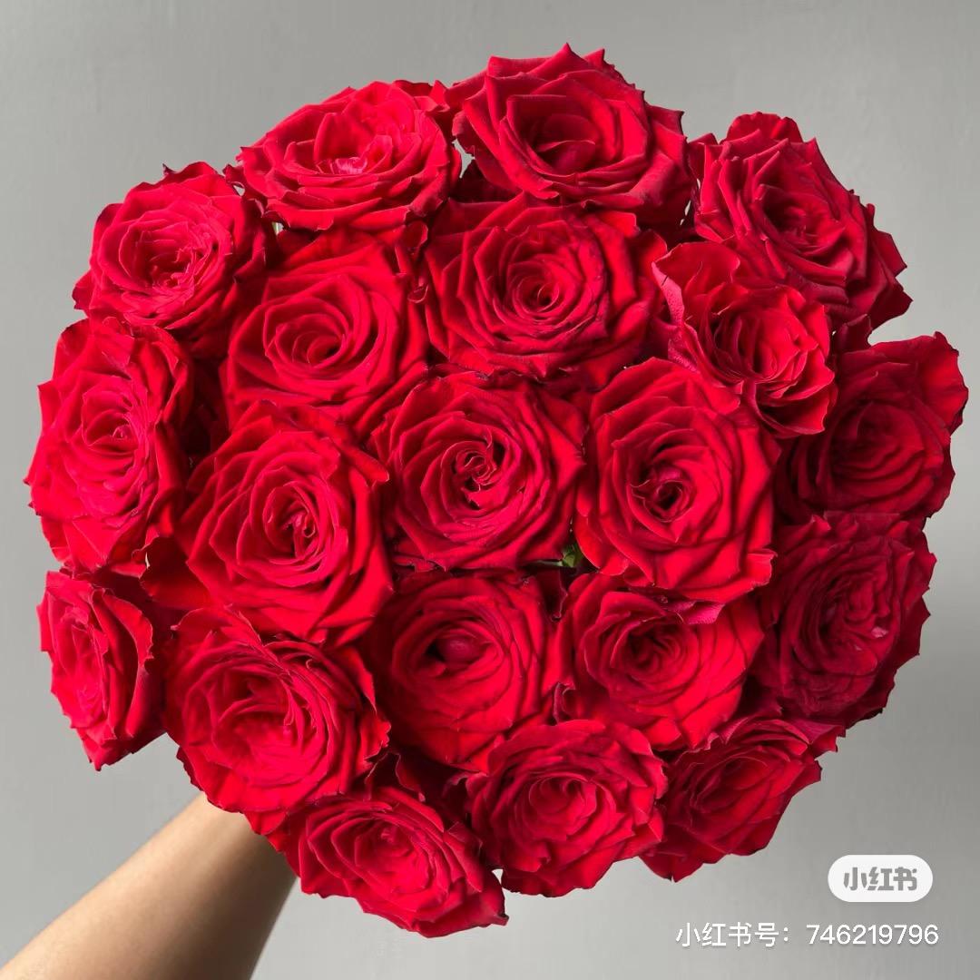 薇尔莉特鲜花