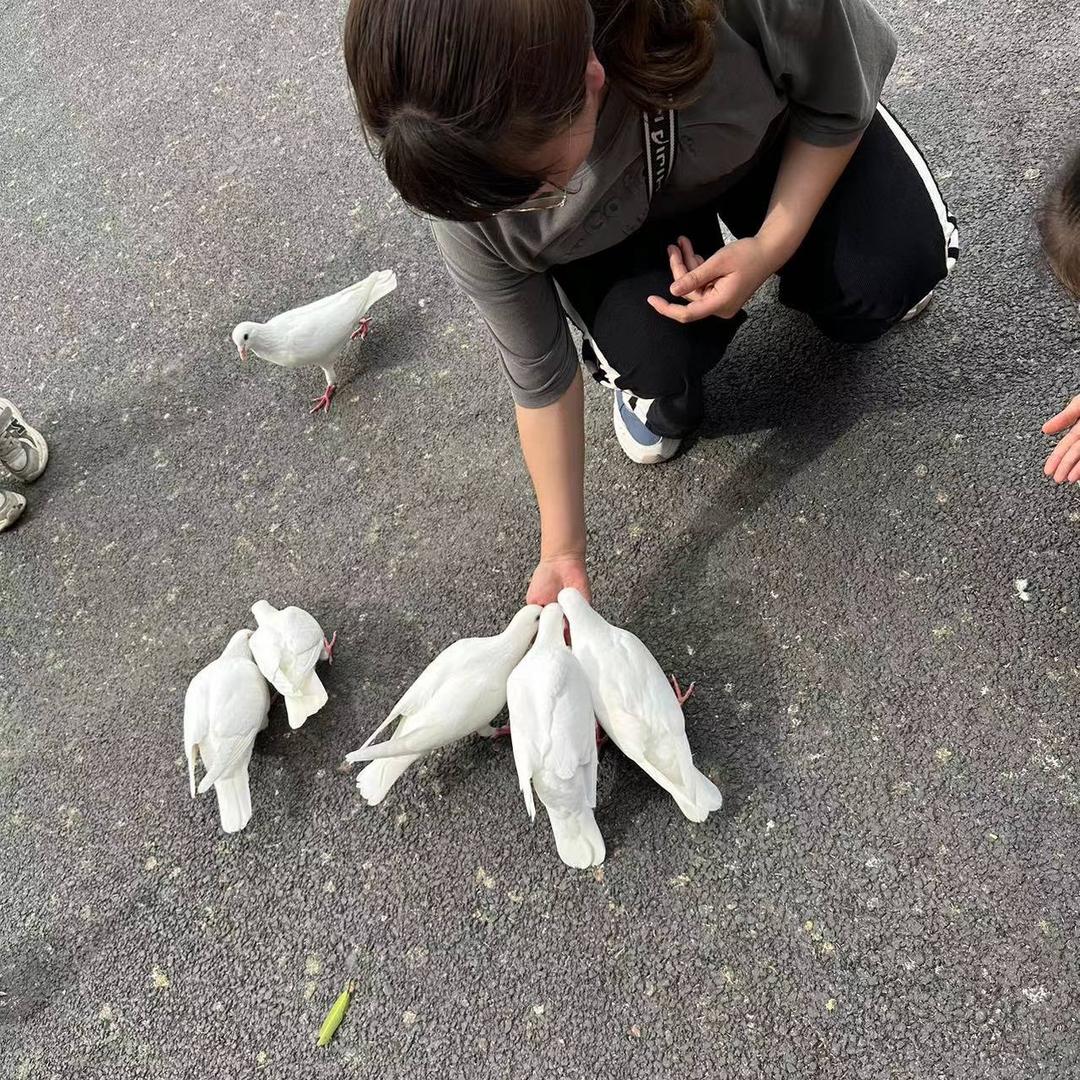 黄黄黄🐶