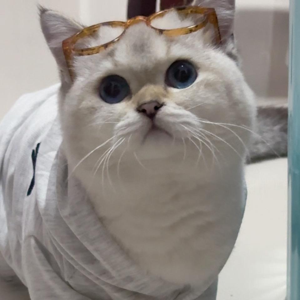 大耳朵泡泡