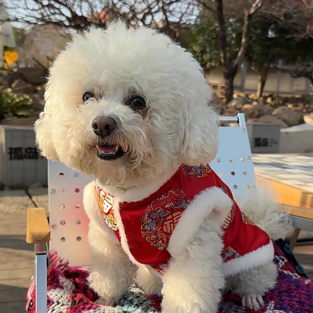 汤圆娘亲
