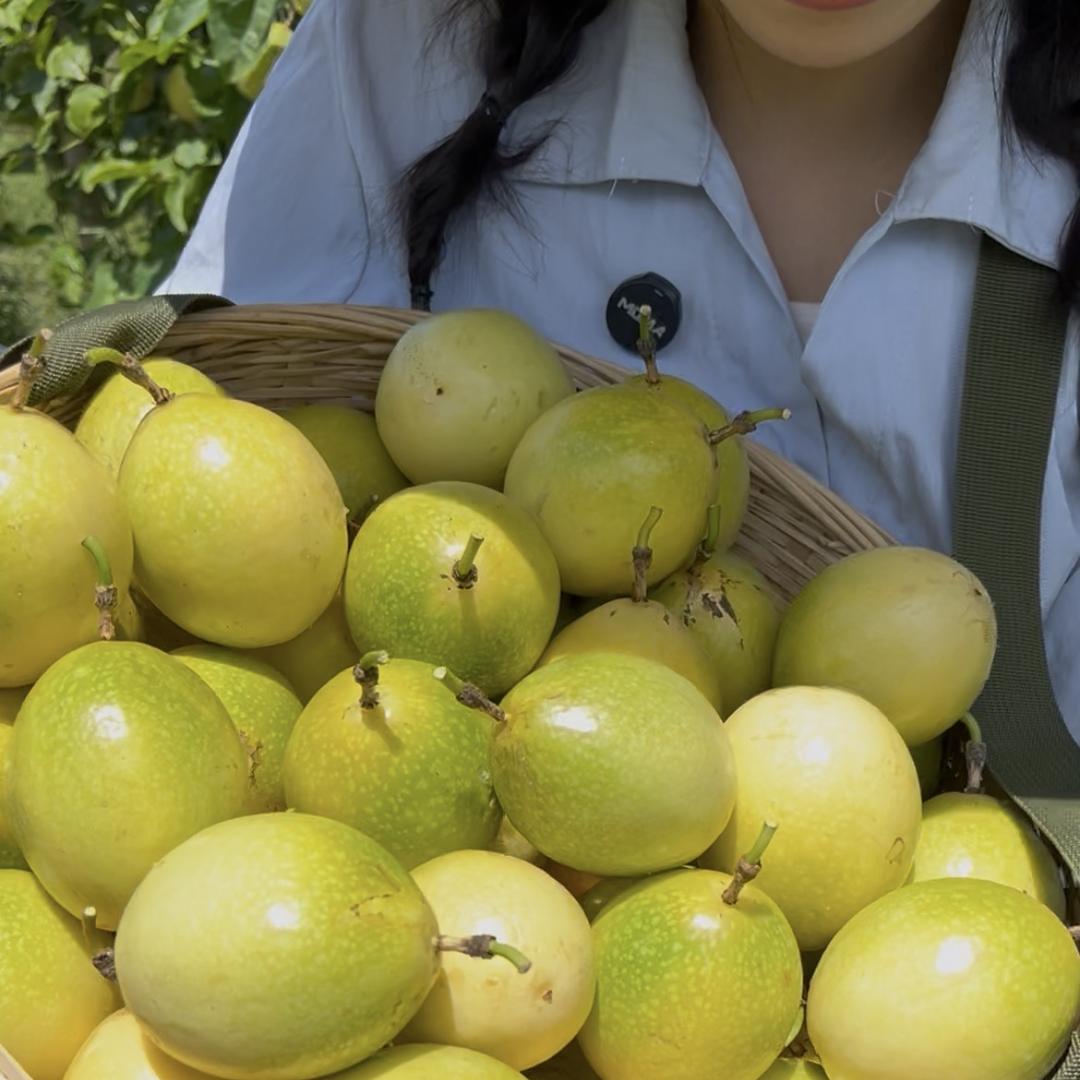 Doublecare水果旗舰店