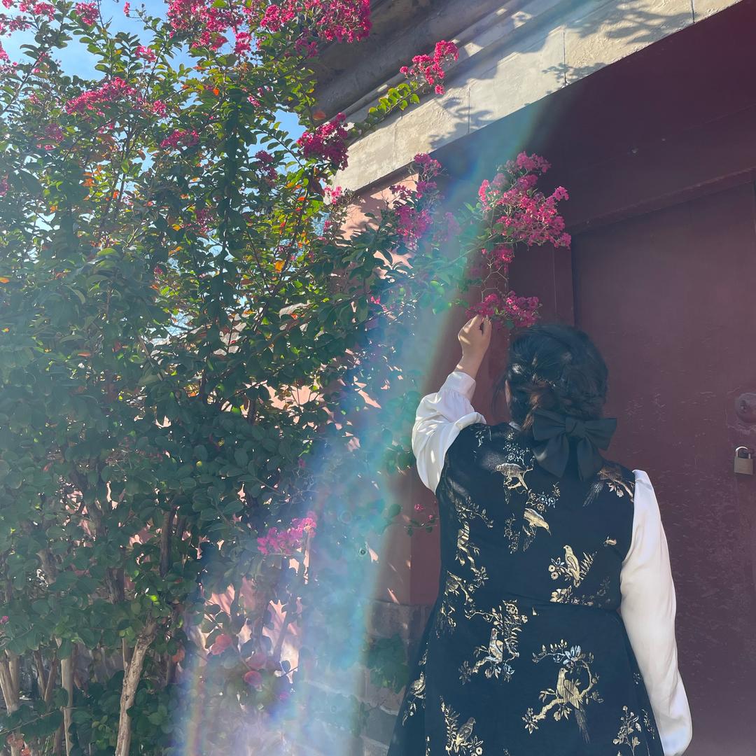 纳米胖（见过周深版）