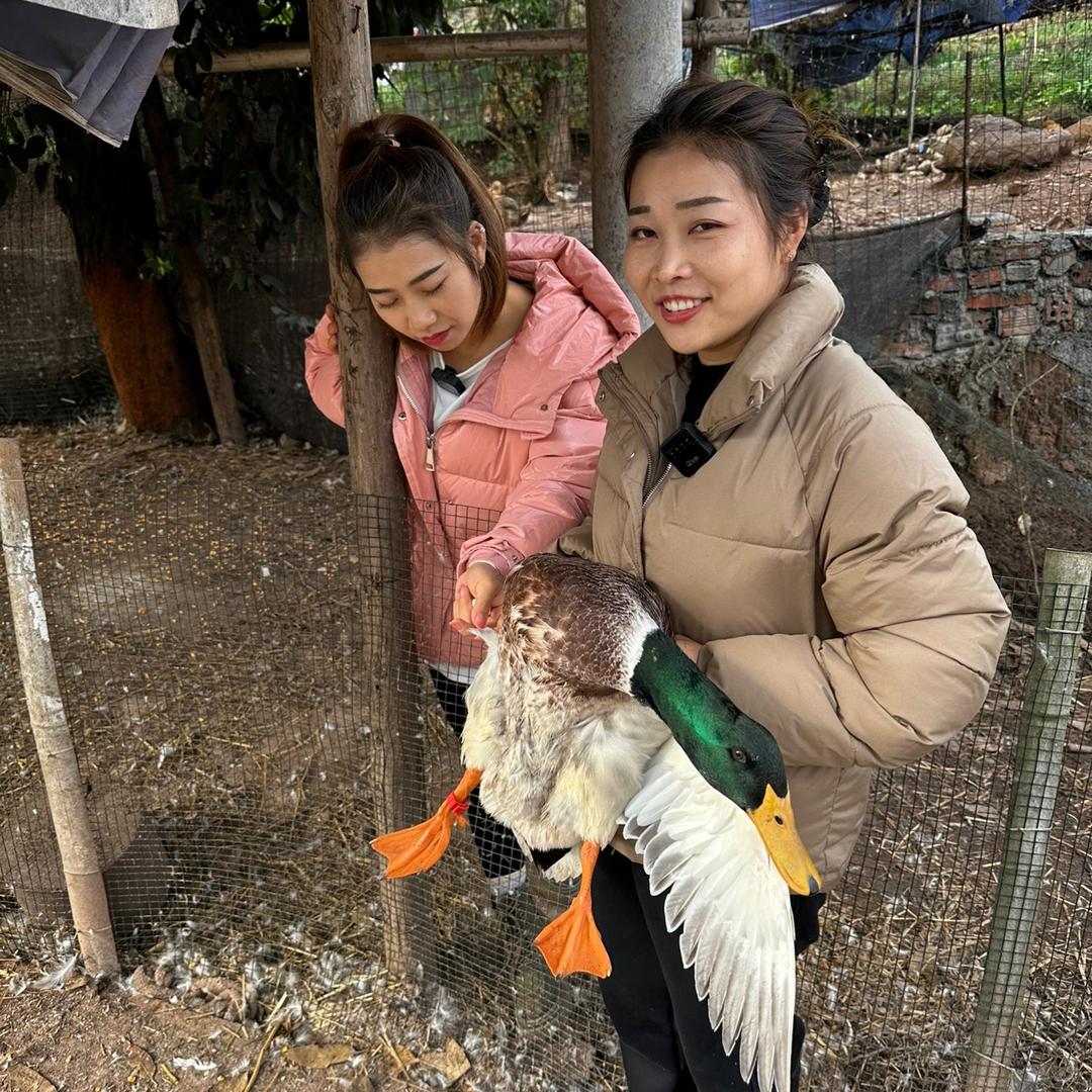 李庄&大狮姐