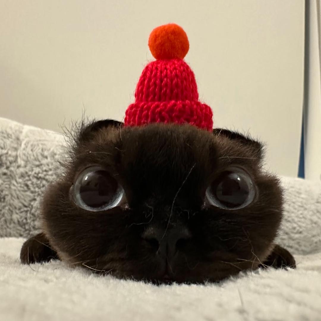 迷人 张总 (真人版