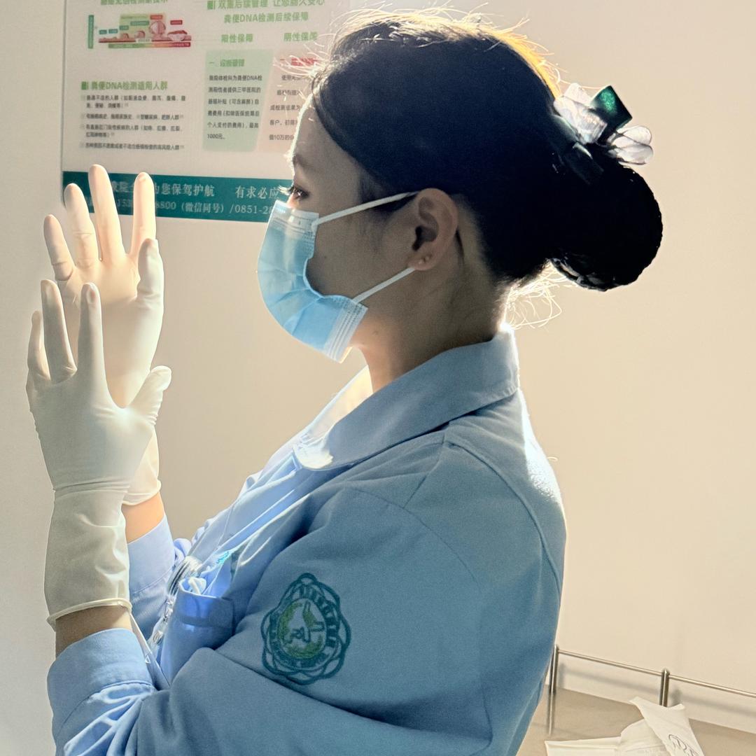 菊花小护