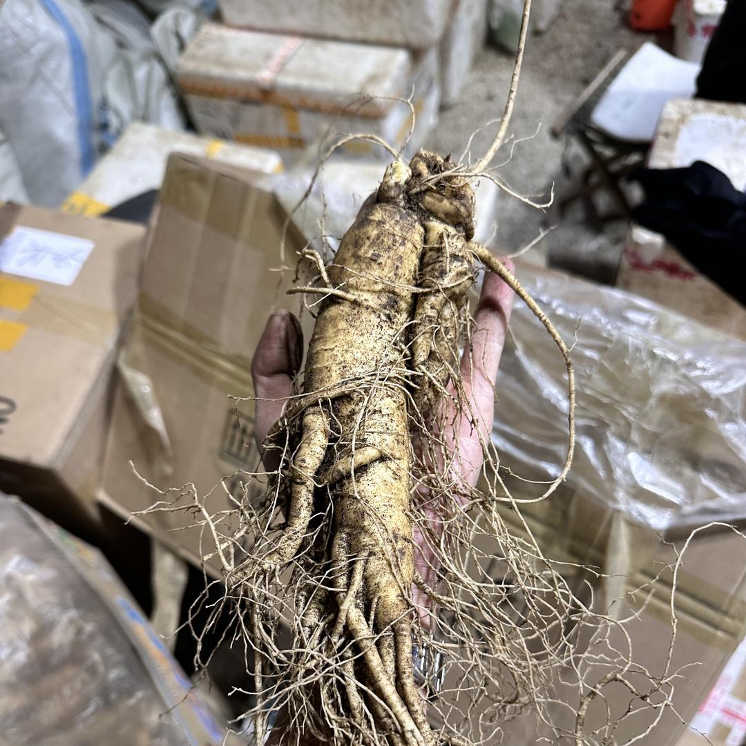 强帆特产坊