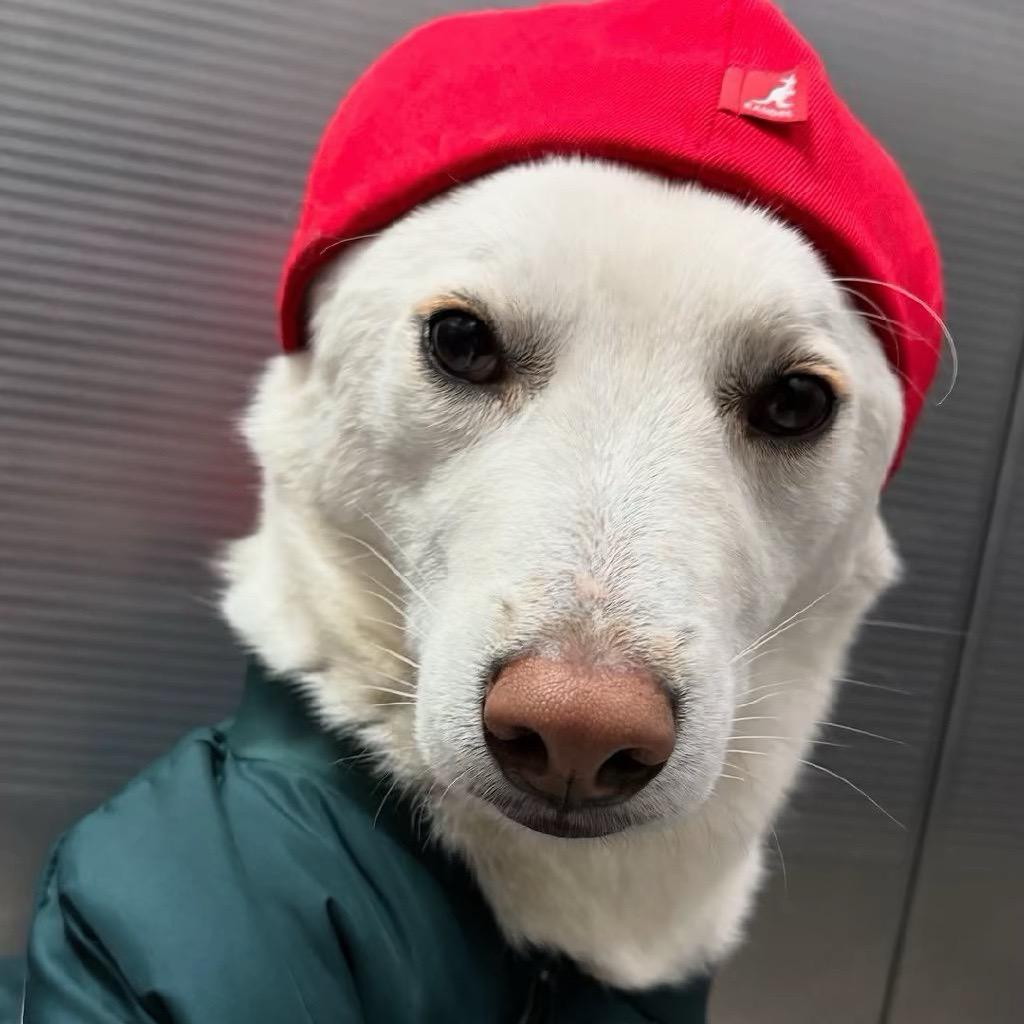 ♒️没有水的水瓶