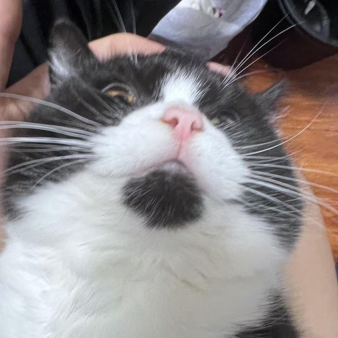 枕一