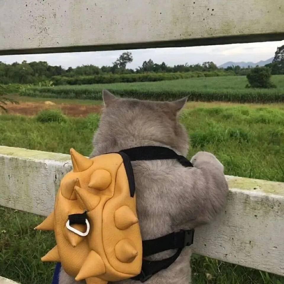 heiejwgwjeiwjw