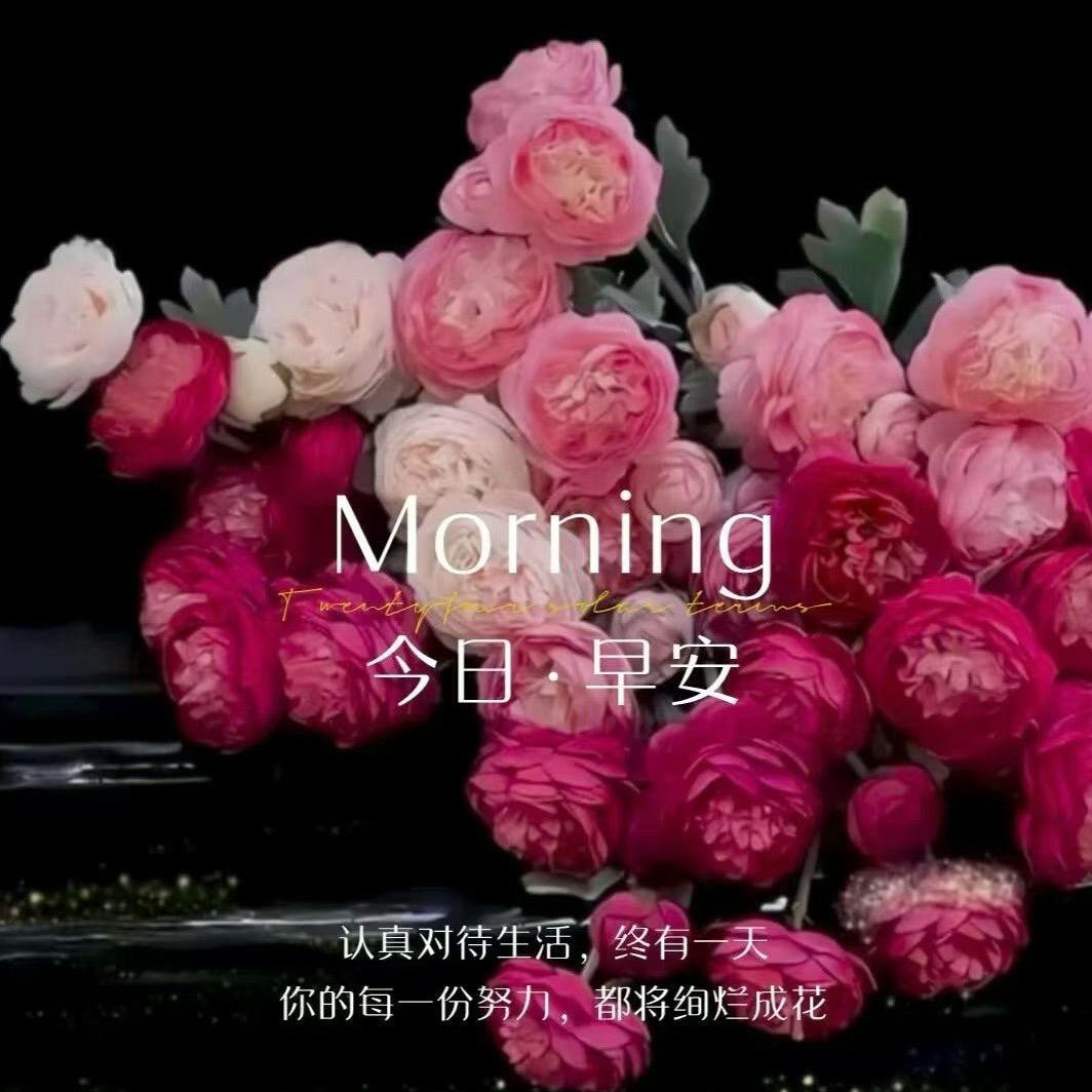 丽丽丽丽