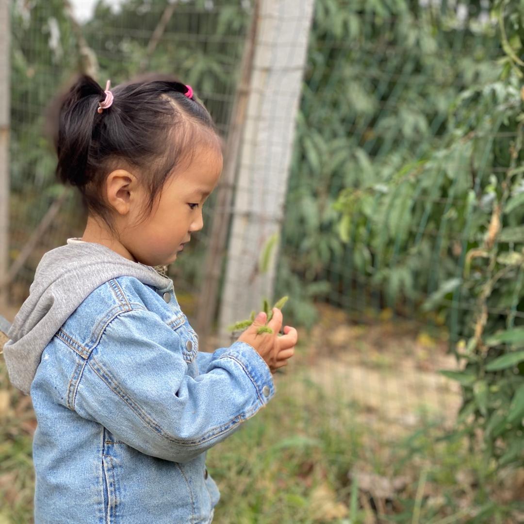 教语文的高老师