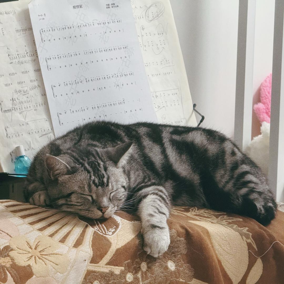 、比巧克力还甜的小朋友