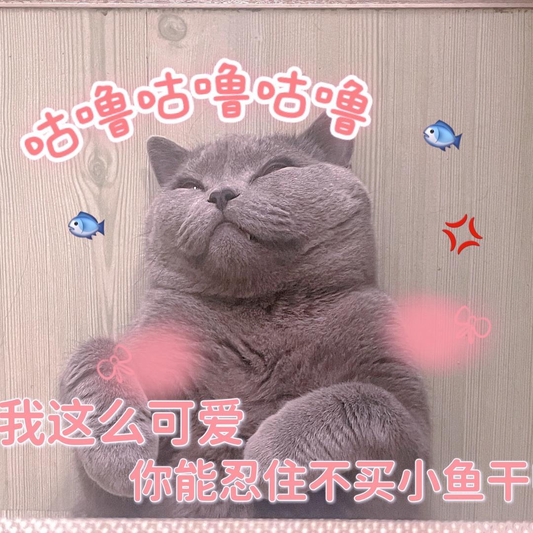 哈哈哈哈哈哈，笑死我了