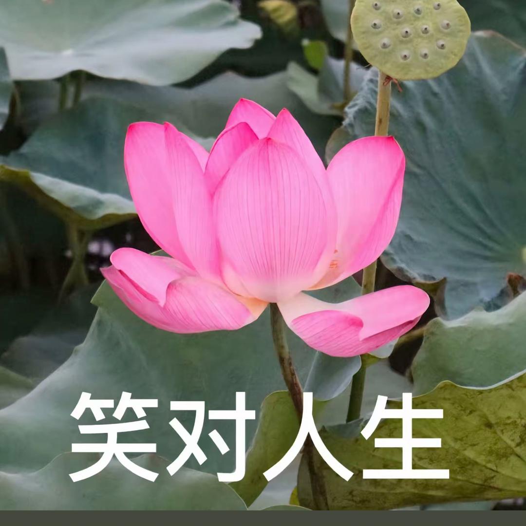 星澈