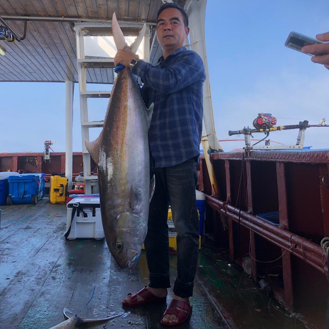 发哥本地山牛肉