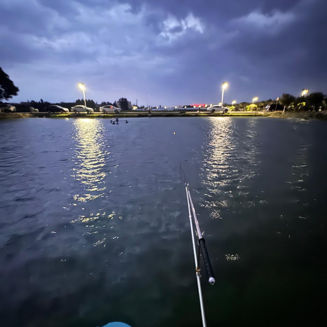 一个爱钓鱼的鱼贩子