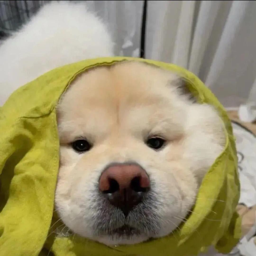 ZZZzz