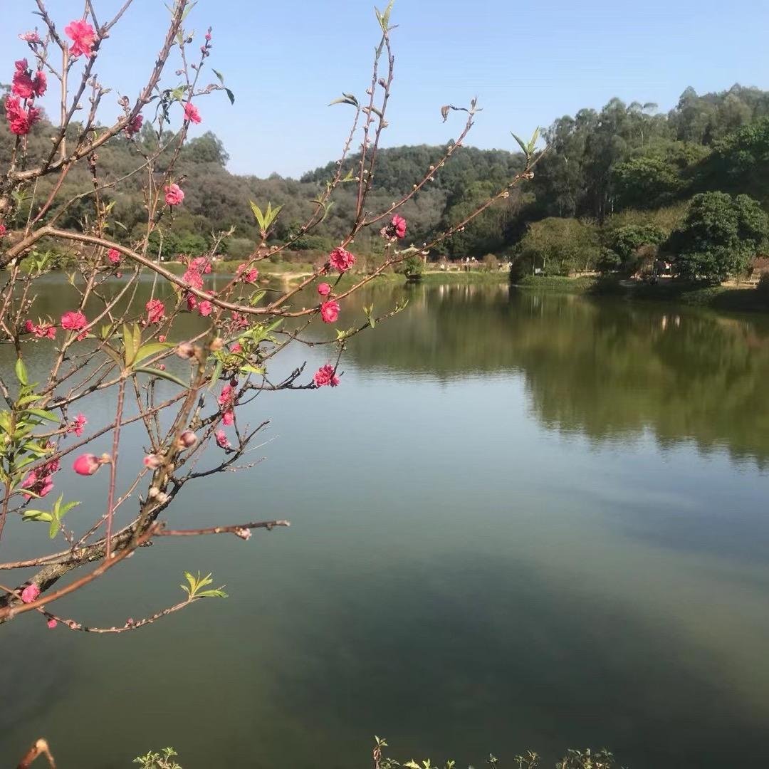 植后芦荟科技护肤 大沥店