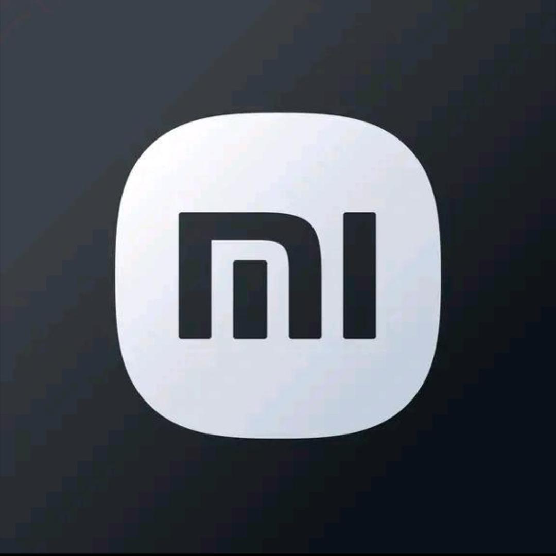 小米汽车｜ 滨州万达店 牛牛