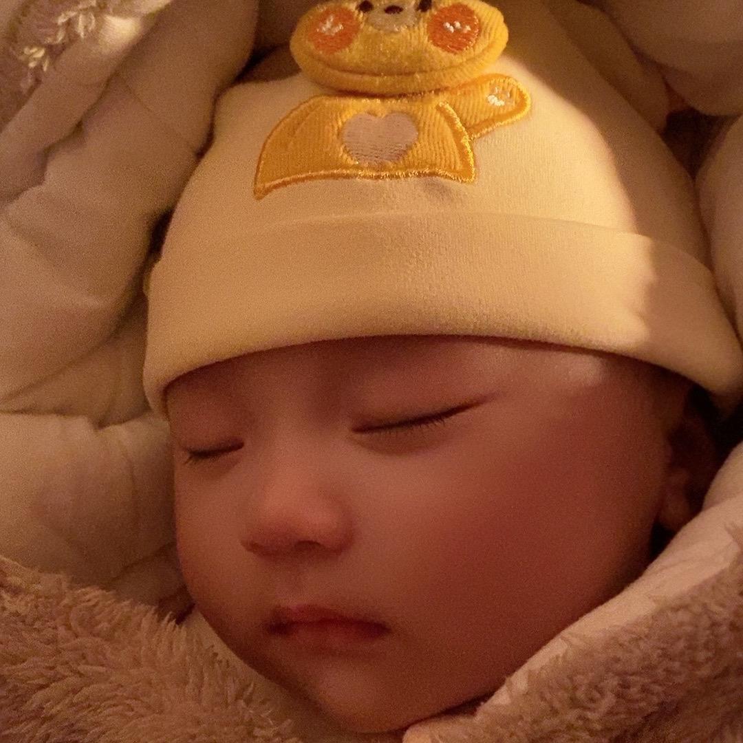 刘小宝图图