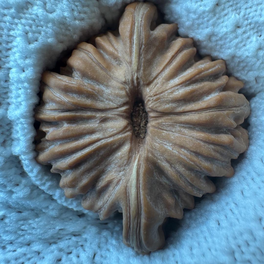 愛盤四座楼
