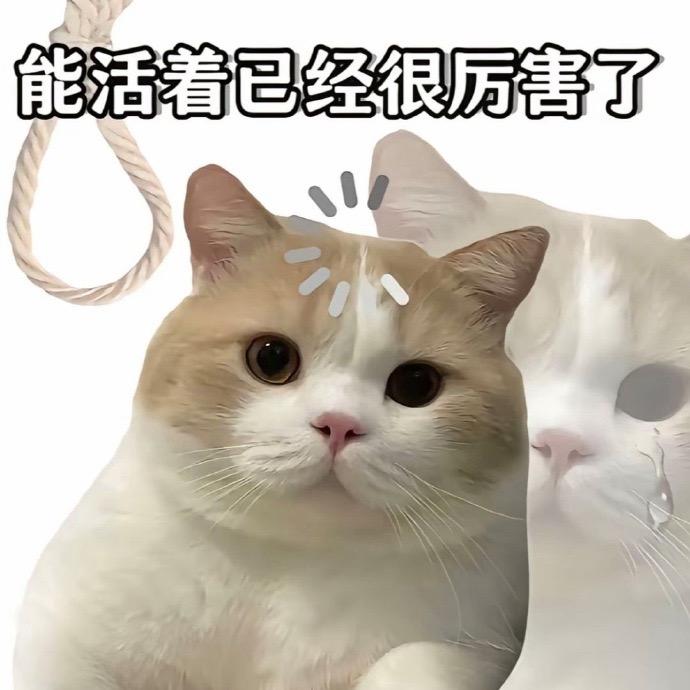 婧琪爸爸