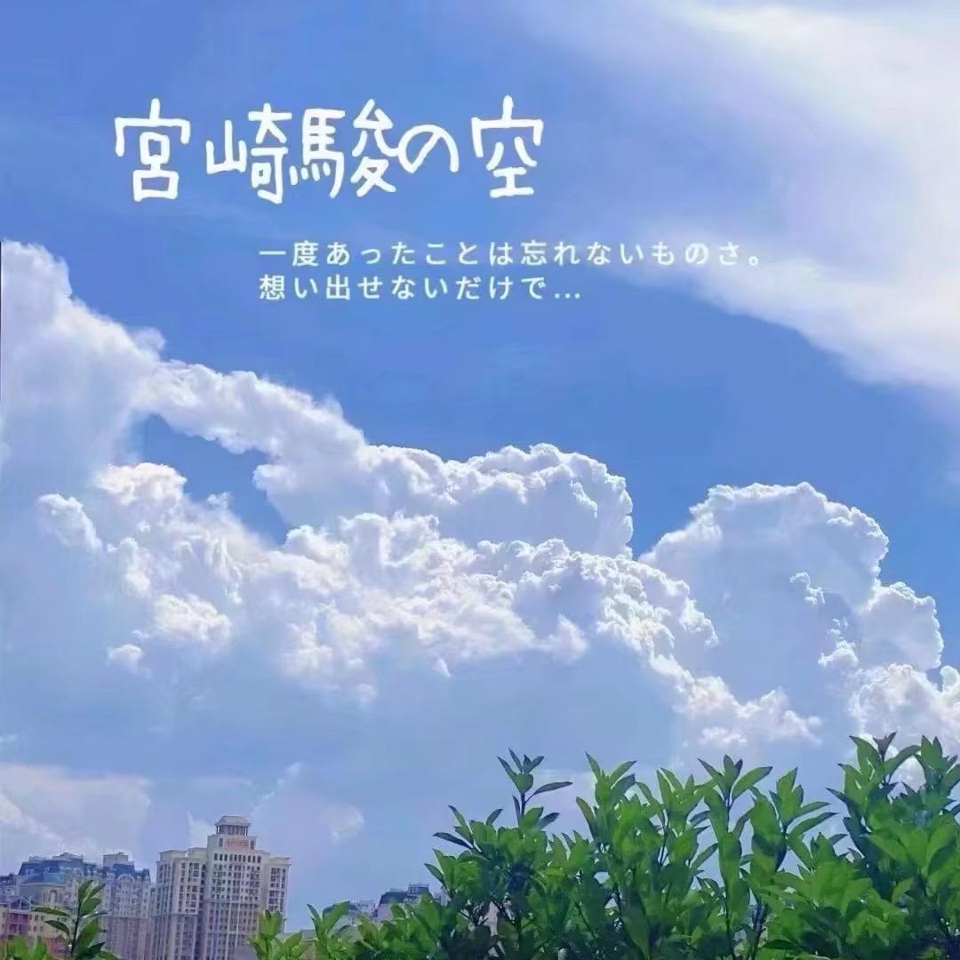 小馬快跑💨