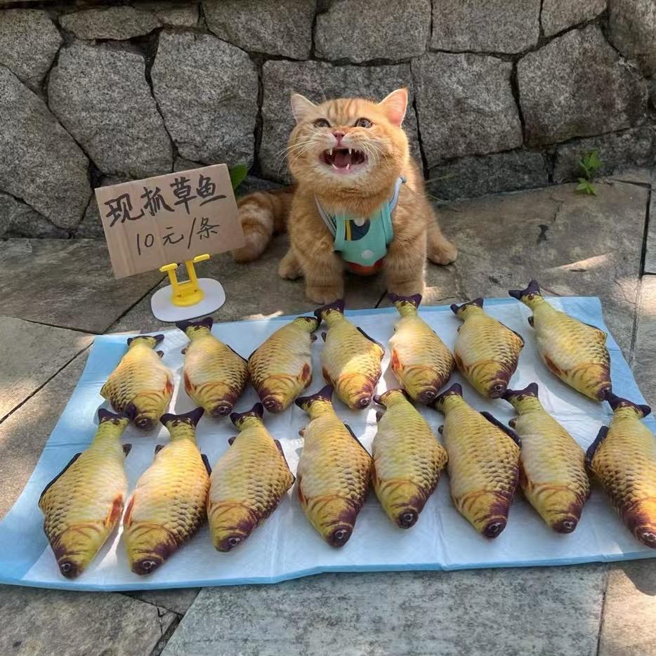 🎯有本事放学别走