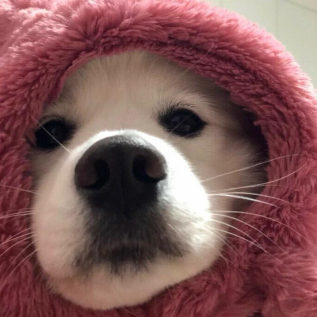 .𝒅