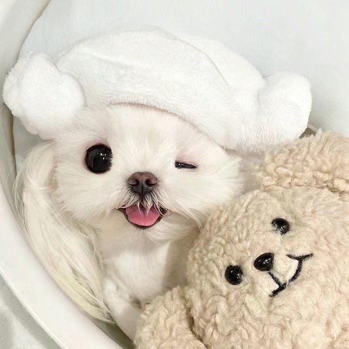 憨豆百货