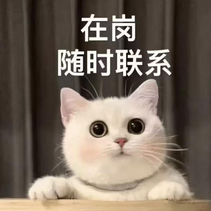 浩瀚鑫二手车