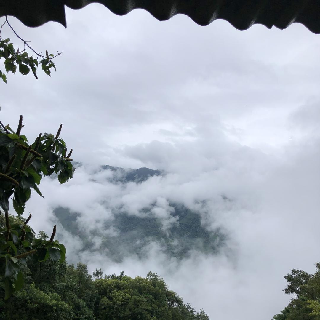 小荒田40号