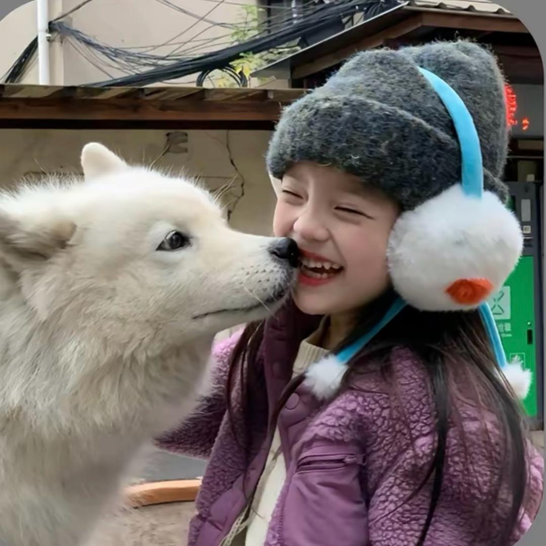头条🧸.