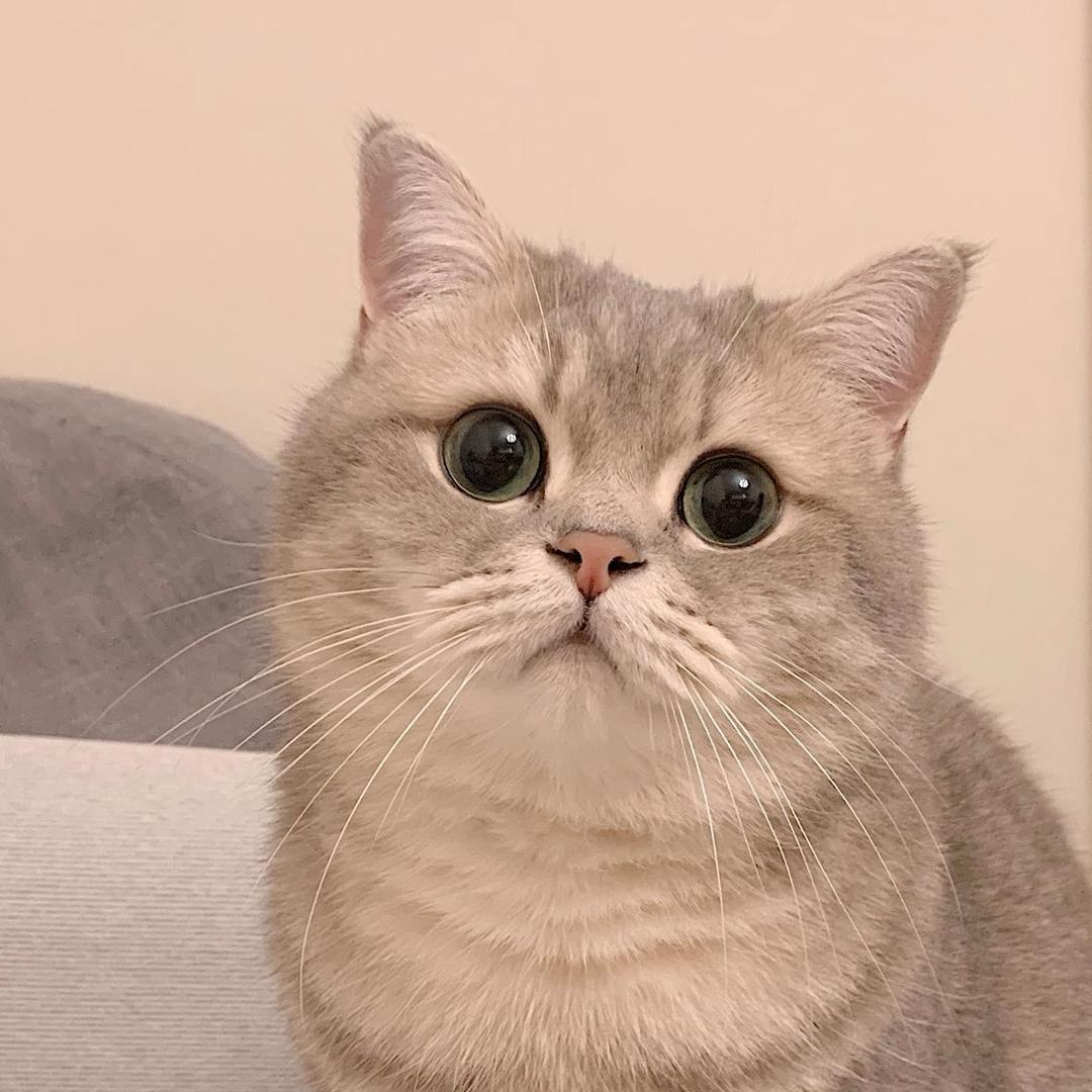 泡澡上王者