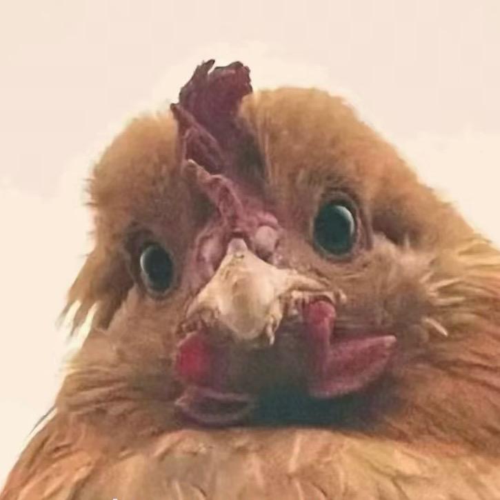 粗鲁樱                ༽