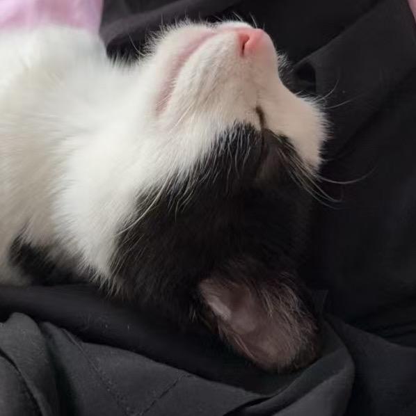 Намүүнгэгэ