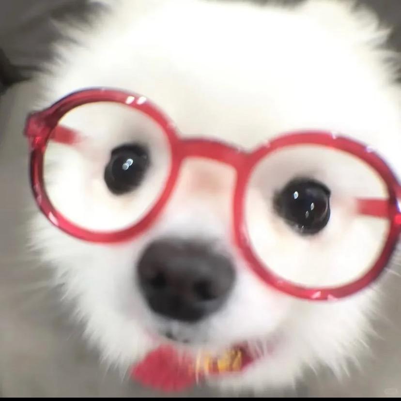 小狗大王ฅᐡ.•·•ᐡฅ