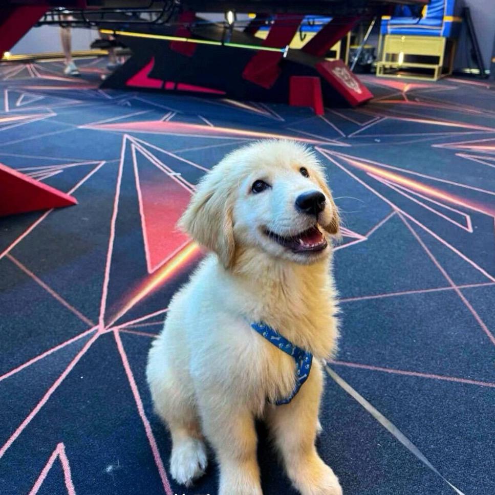 如果敏感是天赋