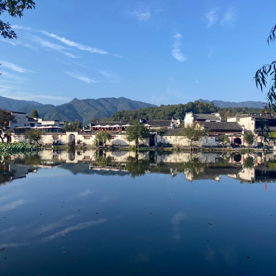 是秃子总会发光