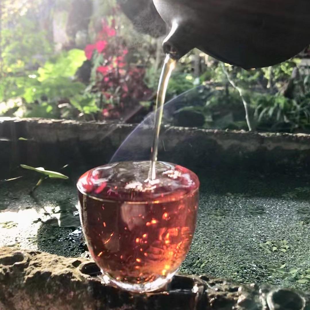 茶后余生