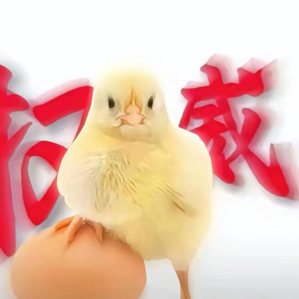 鸡生蛋