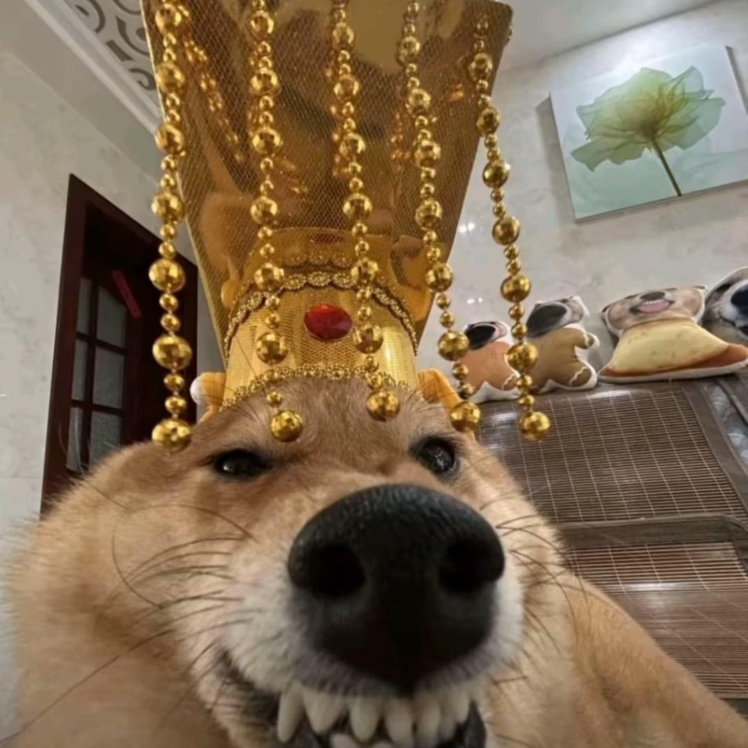 粉红小猪