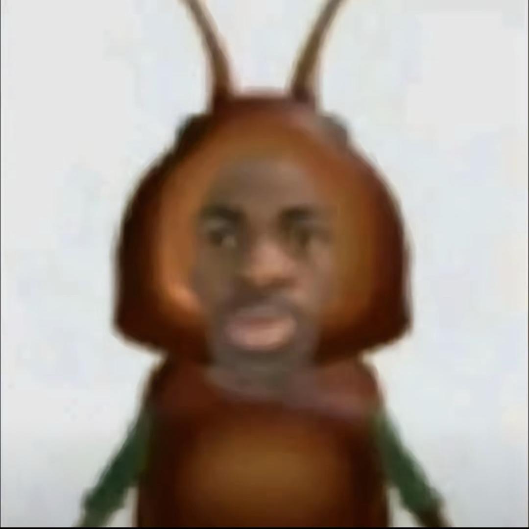 -恐龙王