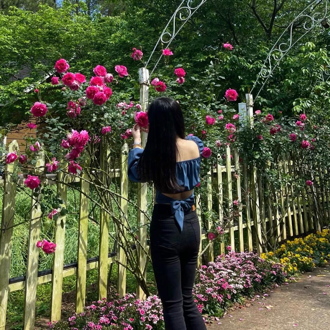 桃花不赴约
