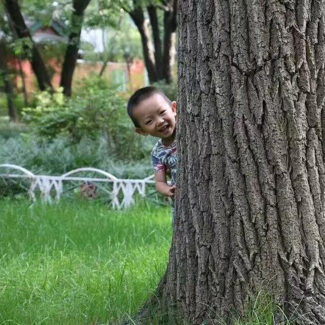 吴杨