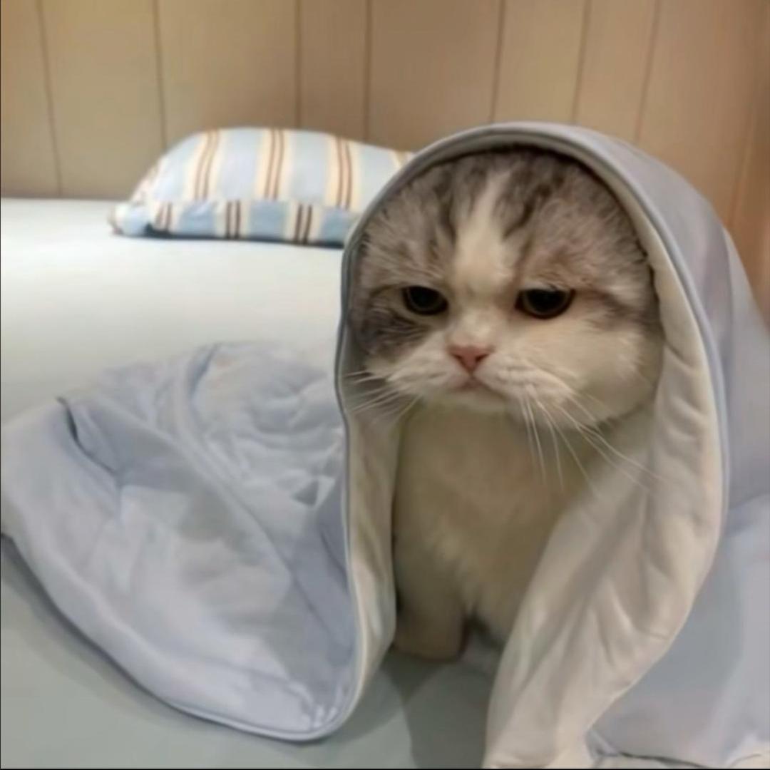 蛤蟆精