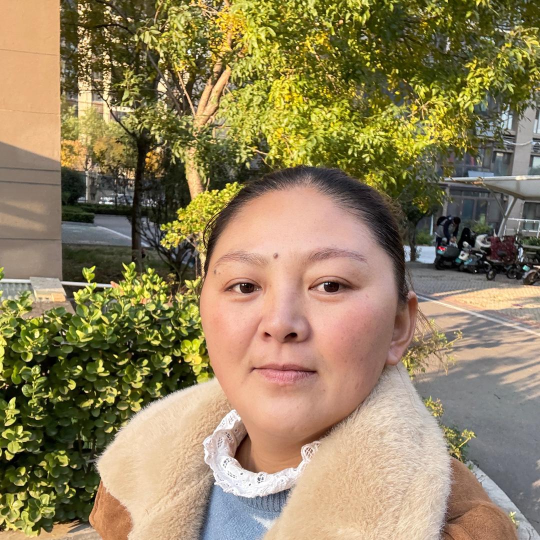 BOP保镖盛唐汽车贴膜专用号