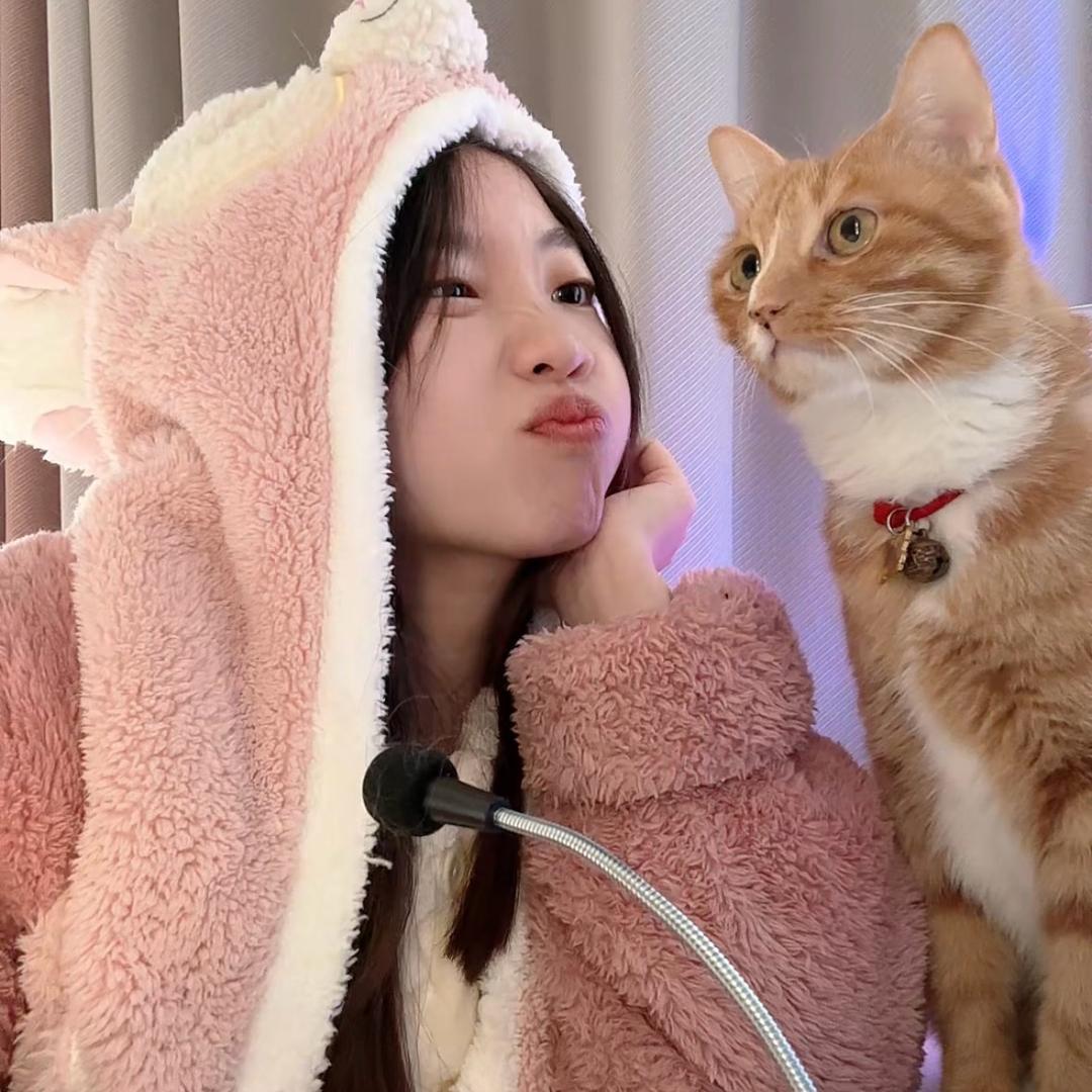 王哪跑的小土豆