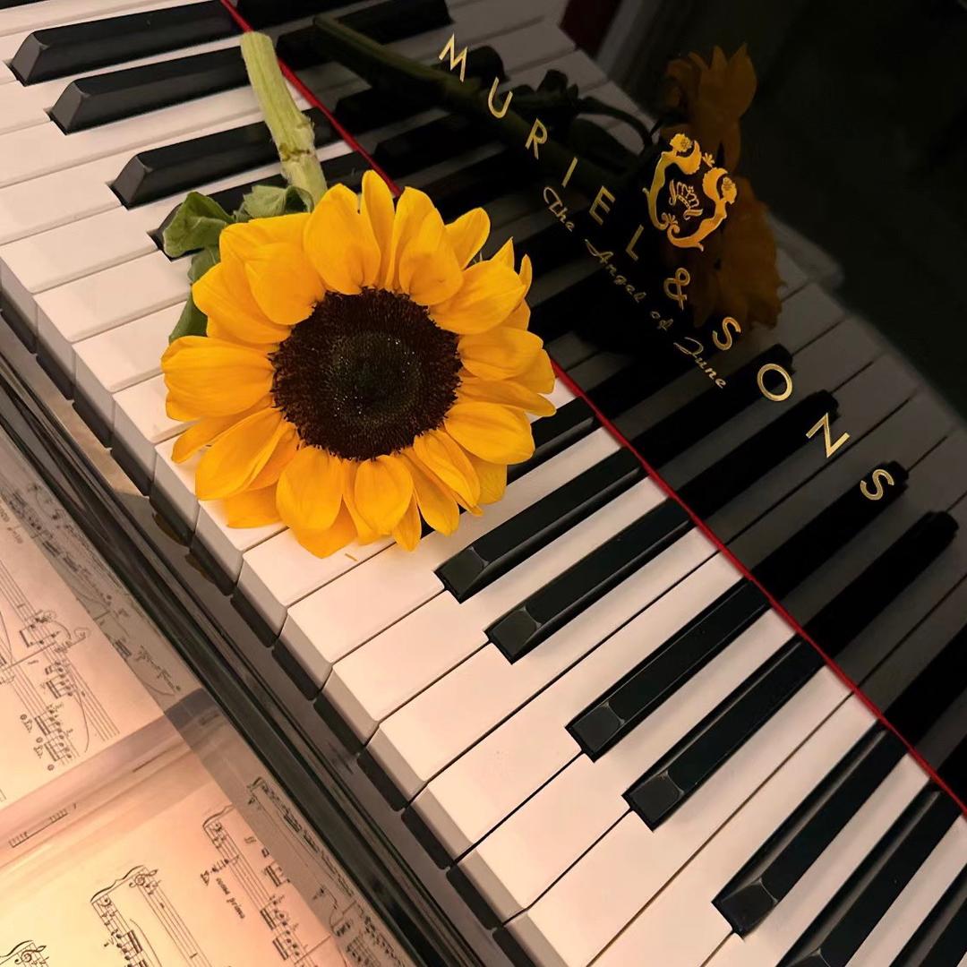 舒冉钢琴🎹